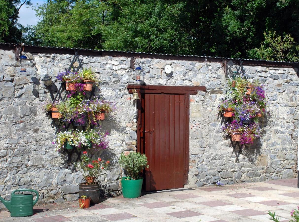 Desart School Garden Chalet Килкенни Экстерьер фото