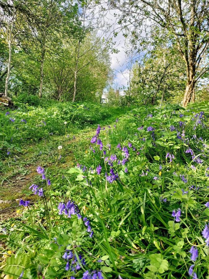 Desart School Garden Chalet Килкенни Экстерьер фото